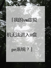 我的vm虚拟机无法进入U盘pe系统?