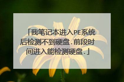 我笔记本进入PE系统后检测不到硬盘.前段时间进入能检测硬盘.