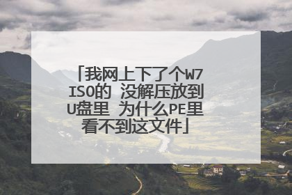 我网上下了个W7 ISO的 没解压放到U盘里 为什么PE里看不到这文件
