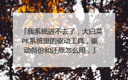 我系统进不去了，大白菜PE系统里的驱动工具，驱动备份和还原怎么用，