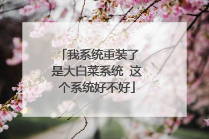 我系统重装了 是大白菜系统 这个系统好不好