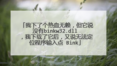 我下了个热血无赖,但它说没有binkw32.dll,我下载了它后,又说无法定位程序输入点 Bink