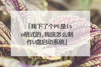 我下了个PE是iso格式的,我该怎么制作U盘启动系统