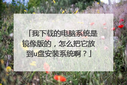 我下载的电脑系统是镜像版的,怎么把它放到u盘安装系统啊?