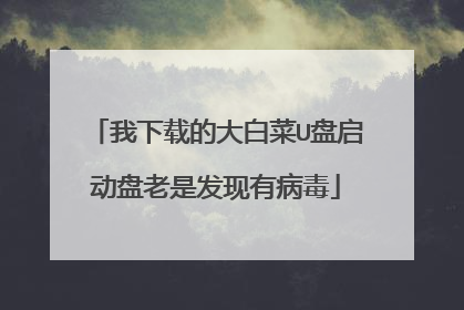 我下载的大白菜U盘启动盘老是发现有病毒