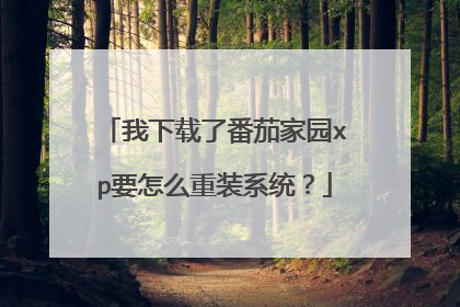 我下载了番茄家园xp要怎么重装系统?