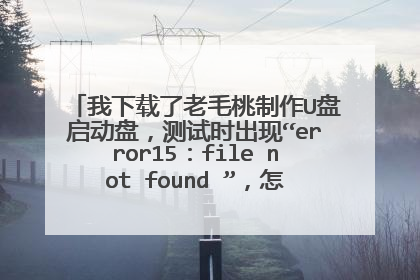 我下载了老毛桃制作U盘启动盘,测试时出现“error15:file not found ”,怎么解决呢?急啊