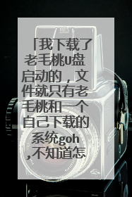 我下载了老毛桃U盘启动的,文件就只有老毛桃和一个自己下载的系统goh,不知道怎么安装系统,我的是w
