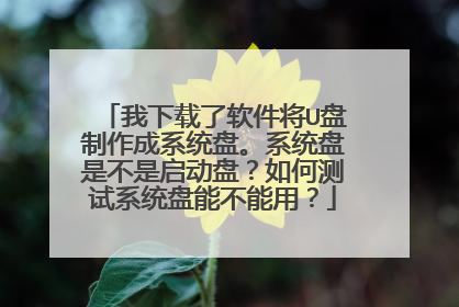 我下载了软件将U盘制作成系统盘。系统盘是不是启动盘？如何测试系统盘能不能用？