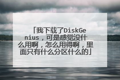 我下载了DiskGenius,可是感觉没什么用啊,怎么用得啊,里面只有什么分区什么的
