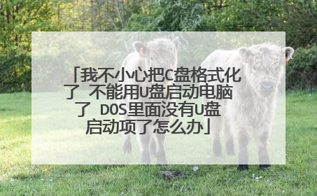 我不小心把C盘格式化了 不能用U盘启动电脑了 DOS里面没有U盘启动项了怎么办