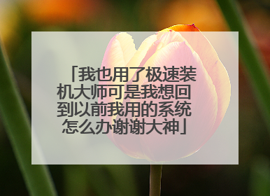 我也用了极速装机大师可是我想回到以前我用的系统怎么办谢谢大神