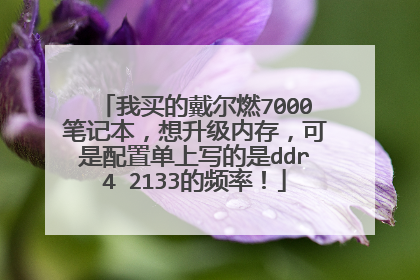 我买的戴尔燃7000笔记本,想升级内存,可是配置单上写的是ddr4 2133的频率!