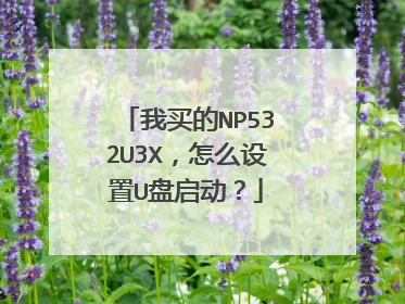 我买的NP532U3X，怎么设置U盘启动？