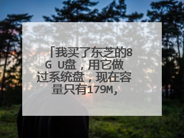 我买了东芝的8G U盘,用它做过系统盘,现在容量只有179M,怎么办我也不会什么量产,找不到合适的量产工具