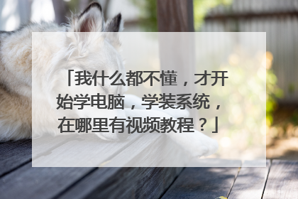 我什么都不懂,才开始学电脑,学装系统,在哪里有视频教程?