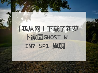 我从网上下载了新萝卜家园GHOST WIN7 SP1 旗舰纯净版(32位) 。用驱动器虚拟大师.exe从硬盘安装。