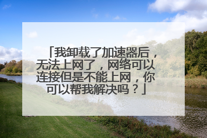 我卸载了加速器后,无法上网了,网络可以连接但是不能上网,你可以帮我解决吗?
