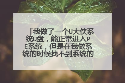 我做了一个U大侠系统U盘,能正常进入PE系统,但是在我做系统的时候找不到系统的镜像是怎么回事。