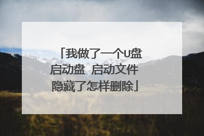 我做了一个U盘启动盘 启动文件隐藏了怎样删除