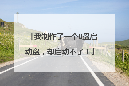 我制作了一个U盘启动盘,却启动不了!