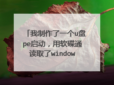 我制作了一个u盘pe启动,用软碟通读取了windows2000导出到u盘内,可是当我进去le安装,