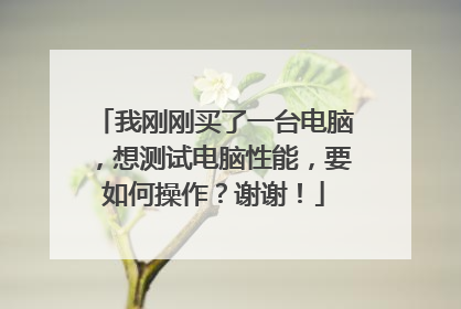 我刚刚买了一台电脑,想测试电脑性能,要如何操作?谢谢!