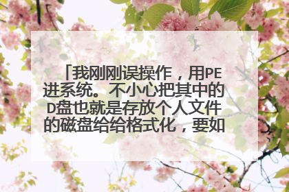 我刚刚误操作,用PE进系统。不小心把其中的D盘也就是存放个人文件的磁盘给给格式化,要如何恢复数据?