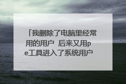 我删除了电脑里经常用的用户 后来又用pe工具进入了系统用户 但是桌面上的文件不见了 只有软件?