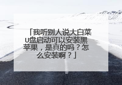 我听别人说大白菜U盘启动可以安装黑苹果,是真的吗?怎么安装啊?