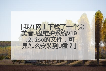 我在网上下载了一个完美者U盘维护系统V10.2.iso的文件,可是怎么安装到U盘?