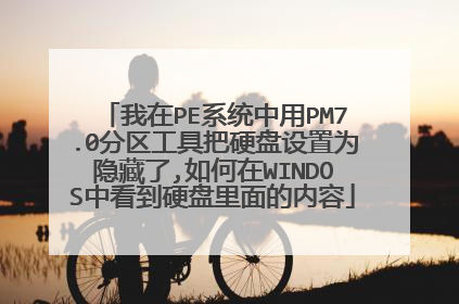 我在PE系统中用PM7.0分区工具把硬盘设置为隐藏了,如何在WINDOS中看到硬盘里面的内容