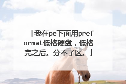 我在pe下面用preformat低格硬盘,低格完之后。分不了区。