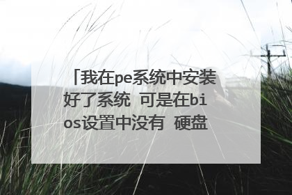 我在pe系统中安装好了系统 可是在bios设置中没有 硬盘启动项 怎么回事 就只有u盘启动？