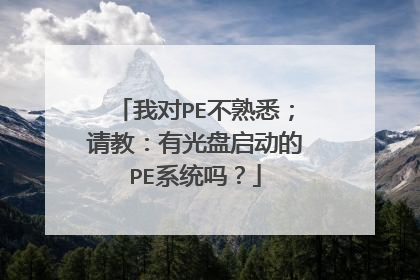 我对PE不熟悉;请教:有光盘启动的PE系统吗?