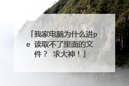 我家电脑为什么进pe 读取不了里面的文件? 求大神!