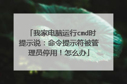 我家电脑运行cmd时提示说:命令提示符被管理员停用!怎么办