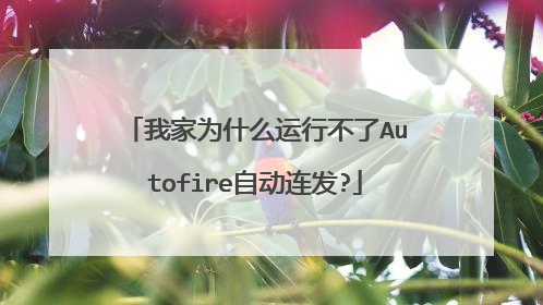 我家为什么运行不了Autofire自动连发?