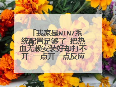 我家是WIN7系统配置足够了 把热血无赖安装好却打不开 一点开一点反应都没有,求助~~~~~~~~~~~~~~~~~~~~