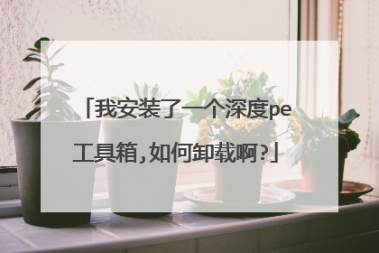 我安装了一个深度pe工具箱,如何卸载啊?