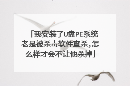 我安装了U盘PE系统老是被杀毒软件查杀,怎么样才会不让他杀掉