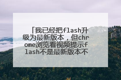 我已经把flash升级为最新版本,但chrome浏览看视频提示flash不是最新版本不让我看,怎么处理?