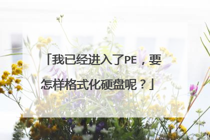 我已经进入了PE，要怎样格式化硬盘呢？