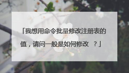 我想用命令批量修改注册表的值,请问一般是如何修改 ?