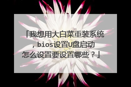 我想用大白菜重装系统,bios设置U盘启动怎么设置要设置哪些?