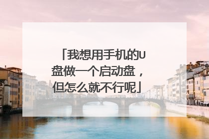 我想用手机的U盘做一个启动盘，但怎么就不行呢