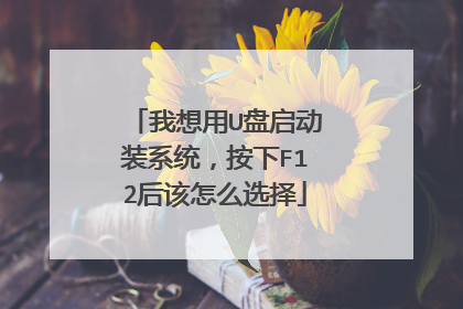 我想用U盘启动装系统，按下F12后该怎么选择