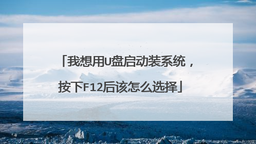 我想用U盘启动装系统,按下F12后该怎么选择