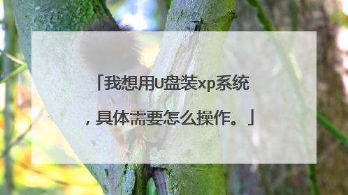 我想用U盘装xp系统,具体需要怎么操作。