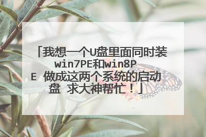 我想一个U盘里面同时装win7PE和win8PE 做成这两个系统的启动盘 求大神帮忙!